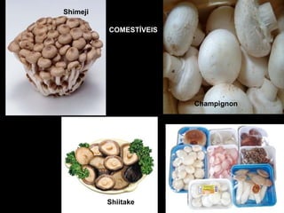 Shimeji
COMESTÍVEIS
Champignon
Shiitake
 