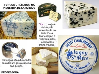 FUNGOS UTILIZADOS NA
INDÚSTRIA DE LATICÍNIOS
Obs: o queijo é
obtido pela
fermentação do
leite. Essa
fermentação é
realizada pelos
lactobacilos
(reino monera)
Os fungos são adicionados
para dar um gosto especial
aos queijos.
PROFESSORA
 