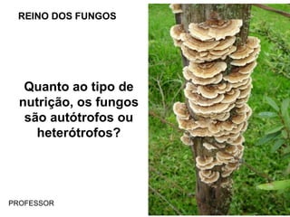 REINO DOS FUNGOS
Quanto ao tipo de
nutrição, os fungos
são autótrofos ou
heterótrofos?
PROFESSOR
 