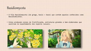 Basidiomycota
• O filo Basidiomycota (do grego, basis = base) que contém aqueles conhecidos como
Basidiomicetos.
• Estes produzem corpos de frutificação, estruturas grandes e bem elaboradas que
auxiliam no espalhamento dos esporos sexuais.
 