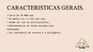 CARACTERISTICAS GERAIS.
• Cerca de 70 000 spp.
• Em média 1,5 a 2 mil por ano.
• Podem ser uni ou pluricelulares.
• Reproduzem-se de forma sexuada e/ou
Assexuada.
• Sua substância de reserva é o glicogênio.
 