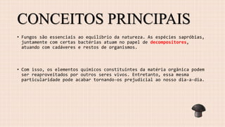 CONCEITOS PRINCIPAIS
• Fungos são essenciais ao equilíbrio da natureza. As espécies sapróbias,
juntamente com certas bactérias atuam no papel de decompositores,
atuando com cadáveres e restos de organismos.
• Com isso, os elementos químicos constituintes da matéria orgânica podem
ser reaproveitados por outros seres vivos. Entretanto, essa mesma
particularidade pode acabar tornando-os prejudicial ao nosso dia-a-dia.
 