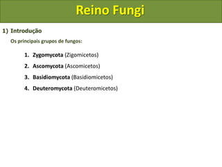 Reino Fungi_-_características_gerais.pdf