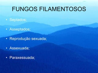 FUNGOS FILAMENTOSOS Septados; Asseptados; Reprodução sexuada; Assexuada; Paraxessuada;  
