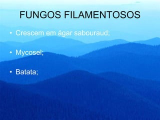 FUNGOS FILAMENTOSOS Crescem em ágar sabouraud; Mycosel; Batata; 