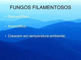 FUNGOS FILAMENTOSOS Dermatófitos; Anemófilos; Crescem em temperatura ambiente; 