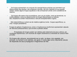 • Os fungos apresentam um conjunto de características próprias que permitem sua
diferenciação das plantas: não sintetizam clorofila, não tem celulose na sua parede
celular, exceto alguns fungos aquáticos e não armazenam amido como substância de
reserva.
• Os fungos são seres vivos eucarióticos, com um só núcleo, como as leveduras, ou
multinucleados, como se observa entre os fungos filamentosos ou bolores.
Seu citoplasma contém mitocôndrias e retículo endoplasmático rugoso.
• São heterotróficos e nutrem-se de matéria orgânica morta - fungos saprofíticos, ou
viva—fungos parasitários.
• Fungos do gênero Cryptococcus, como o Cryptococcus neoformans apresentam cápsula
de natureza polissacarídica, que envolve a parede celular.
• Protoplastos de fungos podem ser obtidos pelo tratamento de seus cultivos, em
condições hipertônicas, com enzimas de origem bacteriana ou extraídas do caracol Helix
pomatia.
• Os fungos são ubíquos, encontrando-se no solo, na água, nos vegetais, em
animais, no homem e em detritos, em geral. O vento age como importante veiculo
de dispersão de seus propágulos e fragmentos de hifa.
 