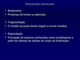 Reprodução Assexuada.
 Brotamento
 Presença de brotos ou gêmulas.
 Fragmentação
 O micélio se parte dando origem a novos micélios.
 Esporulação
 Formação de esporos conhecidos como conidióporos a
partir de mitoses de células do corpo de frutificação.
 
