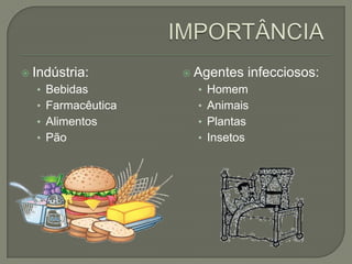  Indústria:
• Bebidas
• Farmacêutica
• Alimentos
• Pão
 Agentes infecciosos:
• Homem
• Animais
• Plantas
• Insetos
 