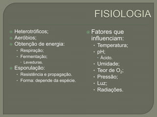  Heterotróficos;
 Aeróbios;
 Obtenção de energia:
• Respiração;
• Fermentação;
 Leveduras.
 Esporulação:
• Resistência e propagação.
• Forma: depende da espécie.
 Fatores que
influenciam:
• Temperatura;
• pH;
 Ácido.
• Umidade;
• Teor de O2;
• Pressão;
• Luz;
• Radiações.
 