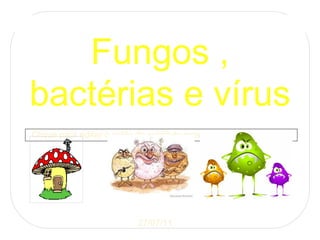 Fungos , bactérias e vírus 