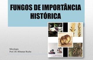 FUNGOS DE IMPORTÂNCIA
HISTÓRICA
Micologia
Prof. Dr. Ribamar Rocha
 