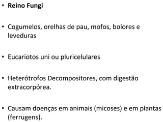 Reino Fungi Cogumelos, orelhas de pau, mofos, bolores e leveduras Eucariotos uni ou pluricelulares Heterótrofos Decompositores, com digestão extracorpórea. Causam doenças em animais (micoses) e em plantas (ferrugens). 