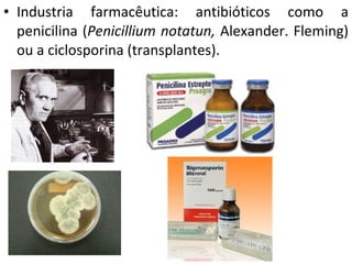 Industria farmacêutica: antibióticos como a penicilina ( Penicillium notatun,  Alexander. Fleming) ou a ciclosporina (transplantes). 