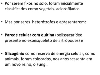 Por serem fixos no solo, foram inicialmente classificados como vegetais. aclorofilados Mas por seres  heterótrofos e apresentarem: Parede celular com quitina  (polissacarídeo presente no exoesqueleto de artrópodes) e Glicogênio  como reserva de energia celular, como animais, foram colocados, nos anos sessenta em um novo reino, o Fungi. 