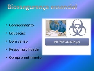 • Conhecimento
• Educação
• Bom senso
• Responsabilidade
• Comprometimento
 