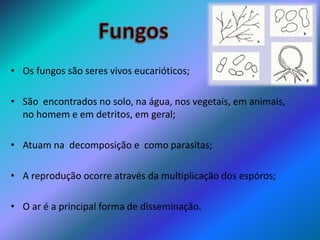 • Os fungos são seres vivos eucarióticos;
• São encontrados no solo, na água, nos vegetais, em animais,
no homem e em detritos, em geral;
• Atuam na decomposição e como parasitas;
• A reprodução ocorre através da multiplicação dos espóros;
• O ar é a principal forma de disseminação.
 