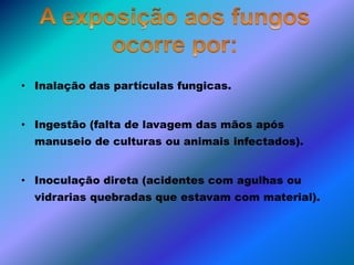 • Inalação das partículas fungicas.
• Ingestão (falta de lavagem das mãos após
manuseio de culturas ou animais infectados).
• Inoculação direta (acidentes com agulhas ou
vidrarias quebradas que estavam com material).
 
