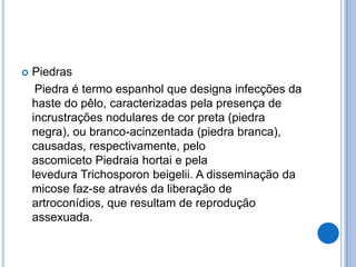  Piedras
Piedra é termo espanhol que designa infecções da
haste do pêlo, caracterizadas pela presença de
incrustrações nodulares de cor preta (piedra
negra), ou branco-acinzentada (piedra branca),
causadas, respectivamente, pelo
ascomiceto Piedraia hortai e pela
levedura Trichosporon beigelii. A disseminação da
micose faz-se através da liberação de
artroconídios, que resultam de reprodução
assexuada.
 