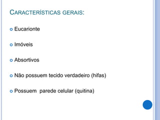 CARACTERÍSTICAS GERAIS:
 Eucarionte
 Imóveis
 Absortivos
 Não possuem tecido verdadeiro (hifas)
 Possuem parede celular (quitina)
 