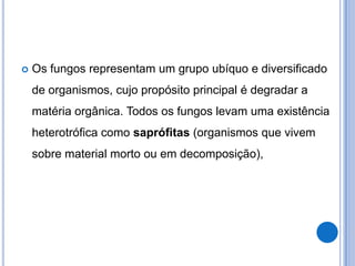  Os fungos representam um grupo ubíquo e diversificado
de organismos, cujo propósito principal é degradar a
matéria orgânica. Todos os fungos levam uma existência
heterotrófica como saprófitas (organismos que vivem
sobre material morto ou em decomposição),
 