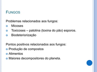 FUNGOS
Problemas relacionados aos fungos:
 Micoses
 Toxicoses – patolina (toxina do pão) esporos.
 Biodeteriorização
Pontos positivos relacionados aos fungos:
 Produção de compostos
 Alimentos
 Maiores decompositores do planeta.
 