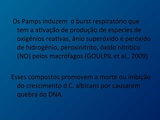 Os Pamps induzem o burst respiratório que
tem a ativação de produção de especies de
oxigênios reativas, ânio superóxido e peróxido
de hidrogênio, peroxinitrito, óxido nitritico
(NO) pelos macrófagos (GOULPIL et al., 2009)
Esses compostos promovem a morte ou inibição
do crescimento d C. albicans por causarem
quebra do DNA.
 