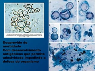 Desprovido de
morbidade
Com desenvolvimento
antigênicas que permite
adesividade impedindo a
defesa do organismo
 