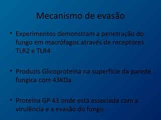 Mecanismo de evasão
• Experimentos demonstram a penetração do
fungo em macrófagos através de receptores
TLR2 e TLR4
• Produzis Glicoproteina na superfície da parede
fungica com 43KDa
• Proteína GP 43 onde esta associada com a
virulência e a evasão do fungo
 