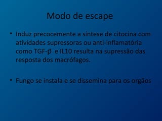 Modo de escape
• Induz precocemente a síntese de citocina com
atividades supressoras ou anti-inflamatória
como TGF- e IL10 resulta na supressão dasƥ
resposta dos macrófagos.
• Fungo se instala e se dissemina para os orgãos
 