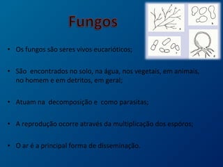 • Os fungos são seres vivos eucarióticos;
• São encontrados no solo, na água, nos vegetais, em animais,
no homem e em detritos, em geral;
• Atuam na decomposição e como parasitas;
• A reprodução ocorre através da multiplicação dos espóros;
• O ar é a principal forma de disseminação.
 