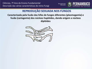 REPRODUÇÃO SEXUADA NOS FUNGOS
Ciências, 7º Ano do Ensino Fundamental
Descrição das várias características do reino Fungi
Caracterizada pela fusão das hifas de fungos diferentes (plasmogamia) e
fusão (cariogamia) dos núcleos haplóides, dando origem a núcleos
diplóides
 