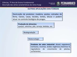Ciências, 7º Ano do Ensino Fundamental
Descrição das várias características do reino Fungi
OUTRAS APLICAÇÕES DOS FUNGOS
Destruição de produtos: madeira, postes, estradas de
ferro, navios, casas, tecidos, lentes, discos e podem
atuar no controle biológico de pragas.
Produção de alimentos
queijos, salsichas, pão, cerveja, bebidas, etc.
Biodegradação
Biotecnologia
Produtos de valor industrial: álcool, ergosterol,
Cortisona, enzimas, ácidos orgânicos,vitaminas B,
reguladores de crescimento de plantas,
surfactantes.
 