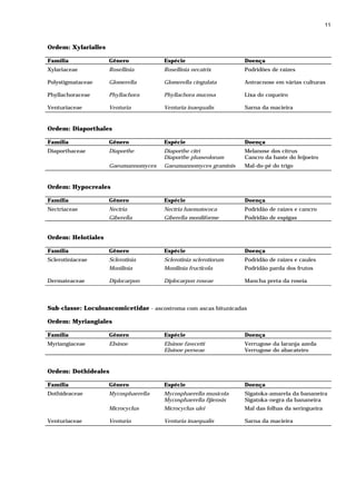 11



Ordem: Xylarialles

Família              Gênero           Espécie                    Doença
Xylariaceae          Rosellinia       Rosellinia necatrix        Podridões de raízes

Polystigmataceae     Glomerella       Glomerella cingulata       Antracnose em várias culturas

Phyllachoraceae      Phyllachora      Phyllachora mucosa         Lixa do coqueiro

Venturiaceae         Venturia         Venturia inaequalis        Sarna da macieira


Ordem: Diaporthales

Família              Gênero           Espécie                    Doença
Diaporthaceae        Diaporthe        Diaporthe citri            Melanose dos citrus
                                      Diaporthe phaseolorum      Cancro da haste do feijoeiro
                     Gaeumannomyces   Gaeumannomyces graminis    Mal-do-pé do trigo


Ordem: Hypocreales

Família              Gênero           Espécie                    Doença
Nectriaceae          Nectria          Nectria haematococa        Podridão de raízes e cancro
                     Giberella        Giberella moniliforme      Podridão de espigas


Ordem: Helotiales

Família              Gênero           Espécie                    Doença
Sclerotiniaceae      Sclerotinia      Sclerotinia sclerotiorum   Podridão de raízes e caules
                     Monilinia        Monilinia fructicola       Podridão parda dos frutos

Dermateaceae         Diplocarpon      Diplocarpon roseae         Mancha preta da roseia




Sub-classe: Loculoascomicetidae - ascostroma com ascas bitunicadas

Ordem: Myriangiales

Família              Gênero           Espécie                    Doença
Myriangiaceae        Elsinoe          Elsinoe fawcetti           Verrugose da laranja azeda
                                      Elsinoe perseae            Verrugose do abacateiro


Ordem: Dothideales

Família              Gênero           Espécie                    Doença
Dothideaceae         Mycosphaerella   Mycosphaerella musicola    Sigatoka-amarela da bananeira
                                      Mycosphaerella fijiensis   Sigatoka-negra da bananeira
                     Microcyclus      Microcyclus ulei           Mal das folhas da seringueira

Venturiaceae         Venturia         Venturia inaequalis        Sarna da macieira
 