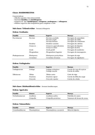 13



Classe: BASIDIOMICETOS

Características:
 • Micélio septado e bem desenvolvido
 • Formam basídias com basidiosporos.
 • Esporos do tipo: basidiosporos, eciosporos, uredosporos e teliosporos
 • Muitos requerem dois hospedeiros para completar o ciclo


Sub-classe: Teliomicetidae - formam teliosporos

Ordem: Uredinales

Família              Gênero                 Espécie                        Doença
Pucciniaceae         Puccinia               Puccinia arachidis             Ferrugem do amendoim
                                            Puccinia sorghi                Ferrugem do milho
                                            Puccinia horiana               Ferrugem do crisântemo
                     Hemileia               Hemileia vastatrix             Ferrugem do cafeeiro
                     Uromyces               Uromyces appendiculatus        Ferrugem do feijoeiro
                                            Uromyces fabae                 Ferrugem da fava
                     Uredo                  Uredo goeldi                   Ferrugem do sombreiro
                     Phragmidium            Phragmidium fragariae          Ferrugem do morangueiro

Phakopsoraceae       Phakopsora             Phakopsora pachyrhizae         Ferrugem da soja
                     Cerotelium             Cerotelium desmium             Ferrugem do algodoeiro


Ordem: Ustilaginales

Família              Gênero                 Espécie                        Doença
Ustilaginaceae       Ustilago               Ustilago scitaminea            Carvão da cana-de-açúcar
                                            Ustilago maydis                Carvão do milho

Tilletiaceae         Tilletia               Tilletia caries                Cárie do trigo
                     Entyloma               Entyloma vignae                Carvão da folha do caupi
                     Urocystis              Urocystis cepulae              Carvão da cebola




Sub-classe: Holobasidiomicetidae - formam basidiocarpos

Ordem: Agaricales

Família              Gênero                 Espécie                        Doença
Tricholomataceae     Armillaria             Armillaria mellea              Podridão de raízes
                     Crinipellis            Crinipellis perniciosa         Vassoura-de-bruxa do cacau



Ordem: Tulasnellales

Família              Gênero                 Espécie                        Doença
Ceratobasidiaceae    Thanatephorus          Thanatephorus cucumeris        Mela do feijoeiro
 