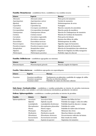 16



Família: Dematiaceae - conidióforos livres, conidióforos e/ou conídios escuros

Gênero                  Espécie                                  Doença
Alternaria              Alternaria solani                        Pinta preta do tomateiro
Asperisporium           Asperisporium caricae                    Varíola do mamoeiro
Bipolaris               Bipolaris oryzae                         Helmintosporiose do arroz
Capnodium               Capnodium sp.                            Fumagina
Cercospora              Cercospora arachidicola                  Mancha castanha do amendoim
Cercosporidium          Cercosporidium henningsii                Mancha parda da mandioca
Cladosporium            Cladosporium fulvum                      Mancha de Cladosporium do tomateiro
Cordana                 Cordana musae                            Mancha de Cordana da bananeira
Curvularia              Curvularia eragrostidis                  Pinta preta do inhame
Drechslera              Drechslera carbonum                      Queima das folhas do milho
Exserohilum             Exserohilum turcicum                     Helmitosporiose do milho
Paracercospora          Paracercospora musae                     Sigatoka-negra da bananeira
Pseudocercospora        Pseudocercospora musae                   Sigatoka-amarela da bananeira
Stemphylium             Stemphylium solani                       Mancha de Stemphylium das solanáceas
Stigmina                Stigmina mangiferae                      Mancha de Stigmina da folha mangueira
Thielaviopsis           Thielaviopsis paradoxa                   Podridão negra do abacaxi


Familia: Stilbelaceae - conidióforos agrupados em sinêmios

Gênero                  Espécie                                  Doença
Phaeoisariopsis         Phaeoisariopsis griseola                 Mancha angular do feijoeiro


Familia: Tuberculariaceae - conidióforos agrupados em esporodóquios

Gênero              Espécie                       Doença

Fusarium            Fusarium moniliforme          Tombamento em plântulas e podridão de espigas de milho
                    Fusarium oxysporum            Murcha em diversas plantas
                    Fusarium solani               Podridões de raízes em diversas culturas




Sub-classe: Coelomicetidae - conidióforos e conídios produzidos no interior de picnídios (estruturas
em forma de pêra, com ostíolo) e acérvulos (estruturas estromáticas, geralmente circulares)

Ordem: Sphaeropsidales - conidióforos e conídios produzidos no interior de picnídios

Família              Gênero            Espécie                       Doença
Sphaeropsidaceae     Ascochyta         Ascochyta fabae               Queima das folhas da fava
                     Diplodia          Diplodia maydis               Podridão da espiga e colmo do milho
                     Lasiodiplodia     Lasiodiplodia theobromae      Podridão basal do abacate e manga
                     Macrophomina      Macrophomina phaseolina       Podridão de caules
                     Phoma             Phoma exigua                  Podridão de tubérculos de batata
                     Phomopsis         Phomopsis citri               Melanose dos citros
                     Phyllosticta      Phyllosticta maydis           Manchas foliares em milho
                     Plenodomus        Plenodomus destruens          Escurecimento radicular da batata
                     Pyrenochaeta      Pyrenochaeta terrestris       Raiz rosada da cebola
                     Septoria          Septoria lycopersici          Septoriose do tomateiro
 