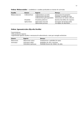 17


Ordem: Melanconiales - conidióforos e conídios produzidos no interior de acérvulos

Família             Gênero              Espécie                          Doença
Melanconiaceae      Colletotrichum      Colletotrichum coccodes          Antracnose do tomateiro
                                        Colletotrichum falcatum          Podridão vermelha da cana
                                        Colletotrichum gloeosporioides   Antracnose em várias culturas
                    Pestalotia          Pestalotia palmivora             Queima das folhas do coqueiro
                    Sphaceloma          Sphaceloma fawcetti              Verrugose da laranja azeda
                                        Sphaceloma perseae               Verrugose do abacateiro



Ordem: Agonomicetales (Mycelia Sterilia)

Características:
• Não produzem esporos
• Apresentam apenas micélio e estruturas de sobrevivência, como por exemplo esclerócios

Gênero             Espécie                      Doença
Rhizoctonia        Rhizoctonia solani           Tombamento e podridão de raízes
Sclerotium         Sclerotium rolfsii           Podridões de colo e murchas
                   Sclerotium cepivorum         Podridão branca da cebola e do alho
 