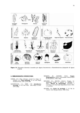 19




Figura 14. Principais sintomas causados por alguns Ascomicetos e Basiodiomicetos [adaptado de Agrios
           (1997)].




5. BIBLIOGRAFIA CONSULTADA                            MENEZES,      M.;    OLIVEIRA,       S.M.A.    Fungos
                                                         fitopatogênicos. Recife: Universidade Federal Rural
AGRIOS, G.N. Plant diseases caused by fungi. In:         de Pernambuco, 1993. 350p.
   AGRIOS, G.N. Plant pathology. 4th ed. San Diego:
   Academic Press, 1997. p.245-406.                   KRUGNER, T.L.; BACCHI, L.M.A.A. Fungos. In:
                                                         BERGAMIN FILHO, A.; KIMATI, H.; AMORIM, L.
ALEXOPOULOS, C.J.; MIMS, C.W. Introductory               (Eds.). Manual de fitopatologia: princípios e
   mycology. 3rd ed. New York: John Wiley & Sons,        conceitos. 3. ed. São Paulo: Agronômica Ceres, 1995.
   1979. 630p.                                           v.1, p.46-96.

                                                      SILVEIRA, V.D. Lições de micologia. 3. ed. Rio de
                                                          Janeiro: José Olympio Editora, 1968. 301p.
 