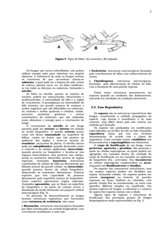 2




                            Figura 2. Tipos de hifas: (A) cenocítica; (B) septada.



     Os fungos, por serem aclorofilados, não podem       • Esclerócios: estruturas macroscópicas formados
utilizar energia solar para sintetizar seu próprio       pelo enovelamento de hifas com endurecimento do
alimento. A substância de onde os fungos retiram         córtex.
os nutrientes de que necessitam chama-se
                                                         • Clamidosporos: estruturas microscópicas,
substrato, o qual pode ser o húmus do solo, restos
                                                         formadas pela diferenciação de células da hifa,
de cultura, plantas vivas, etc. As hifas ramificam-
                                                         com a formação de uma parede espessa.
se em todas as direções no substrato, formando o
micélio.
                                                             Todas essas estruturas permanecem em
     As hifas ou micélio, quanto ao número de
                                                         repouso quando as condições são desfavoráveis,
núcleos, podem ser uninucleadas, binucleadas e
                                                         entrando em atividade em condições favoráveis.
multinucleadas. A extremidade da hifa é a região
de crescimento. O protoplasma na extremidade da
hifa sintetiza um grande número de enzimas e
ácidos orgânicos que são difundidos no substrato.         2.2. Fase Reprodutiva
As enzimas e ácidos quebram a celulose, amido,
açúcares,     proteínas,   gorduras      e    outros          Os esporos são as estruturas reprodutivas dos
constituintes do substrato, que são utilizados           fungos, constituindo a unidade propagativa da
como alimentos e energia para o crescimento do           espécie, cuja função é semelhante a de uma
fungo.                                                   semente, mas difere desta pois não contém um
     O crescimento do micélio de um fungo                embrião pré-formado.
parasita pode ser externo ou interno em relação               Os esporos são produzidos em ramificações
ao tecido hospedeiro. O micélio externo ocorre           especializadas ou tecidos do talo ou hifa chamados
como um denso emaranhado na superfície de                esporóforos. Estes, por sua vez, recebem
folhas, caules ou frutos, que não penetra na             denominações de acordo com a classe do
epiderme dos órgãos e nutre-se através de                organismo. Como exemplo temos: conidióforo nos
exsudatos (açúcares) da planta. O micélio interno        Deuteromicetos e esporangióforo nos Oomicetos.
pode ser subepidérmico, quando desenvolve entre               O corpo de frutificação de um fungo, como
a cutícula e as células epidermais; intercelular,        peritécios, apotécios e picnídios, dão proteção e
quando penetra no hospedeiro e localiza-se nos           apoio às células esporógenas, as quais podem ser
espaços intercelulares, sem penetrar nas células,        agregadas em camadas dentro da cavidade do
sendo os nutrientes absorvidos através de órgãos         corpo de frutificação ou em camadas na epiderme
especiais    chamados     haustórios     (estruturas     do hospedeiro (Ex.: acérvulos). Nos Ascomicetos
constituídas de células da hifa) ou diretamente por      as células esporógenas compreendem as ascas,
difusão através da parede celular; ou intracelular,      enquanto nos Basidiomicetos as basídias.
quando penetra dentro da célula hospedeira,                   Os esporos são comumente unicelulares, mas
absorvendo os nutrientes diretamente. Existem            em muitas espécies podem ser divididos por
espécies que tem capacidade de penetrar                  septos, formando células. Os esporos podem ser
diretamente pela superfície intacta do hospedeiro.       móveis (zoosporos) ou imóveis, de paredes
Estas espécies apresentam órgãos especiais,              espessas ou finas, hialinas ou coloridas, com
chamados apressórios, que se fixam na superfície         parede celular lisa ou ornamentada, as vezes com
do hospedeiro e no ponto de contato ocorre a             apêndice filiforme simples ou ramificado. Em
dissolução do tecido formando um pequeno orifício        muitas espécies de fungos, a coloração e o número
(microscópico) (Fig. 3).                                 de septos dos esporos variam com a idade.
     No processo de desenvolvimento os fungos                 Alguns tipos de esporos e estruturas de
formam estruturas vegetativas que funcionam              frutificação dos principais grupos de fungos
como estruturas de resistência, tais como:               fitopatogênicos estão representados na Fig. 3.

• Rizomorfas: estruturas macroscópicas formadas
por hifas entrelaçadas no sentido longitudinal, com
crescimento semelhante a uma raiz.
 