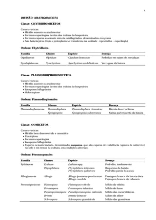 7


DIVISÃO: MASTIGOMICOTA

Classe: CHYTRIDIOMICETOS

Características:
 • Micélio ausente ou rudimentar
 • Formam esporângios dentro dos tecidos do hospedeiro
 • Formam esporos assexuais móveis, uniflagelados, denominados zoosporos
 • São holocárpicos (todo o protoplasto se transforma na unidade reprodutiva - esporângio)

Ordem: Chytridiales

Família              Gênero            Espécie                      Doença
Olpidiaceae          Olpidium          Olpidium brassicae           Podridão em raízes de hortaliças

Synchytriaceae       Synchytrium       Synchytrium endobioticum     Verrugose da batata




Classe: PLASMODIOPHOROMICETOS

Características:
 • Micélio ausente ou rudimentar
 • Formam esporângios dentro dos tecidos do hospedeiro
 • Zoosporos biflagelados
 • Holocárpicos

Ordem: Plasmodiophorales

Família               Gênero              Espécie                         Doença
Plasmodiophoraceae    Plasmodiophora      Plasmodiophora brassicae        Hérnia das crucíferas
                      Spongospora         Spongospora subterranea         Sarna pulverulenta da batata




Classe: OOMICETOS

Características:
 • Micélio bem desenvolvido e cenocítico
 • Eucárpicos
 • Formam esporângios
 • Zoosporos biflagelados
 • Esporos sexuais imóveis, denominados oosporos, que são esporos de resistência capazes de sobreviver
   no solo e em restos de cultura, em condições adversas

Ordem: Peronosporales

Família            Gênero              Espécie                         Doença
Pythiaceae         Pythium             Pythium spp.                    Podridão, tombamento
                   Phytophthora        Phytophthora infestans          Requeima da batata
                                       Phytophthora palmivora          Podridão parda do cacau

Albuginaceae       Albugo              Albugo ipomoeae-panduranae      Ferrugem branca da batata-doce
                                       Albugo candida                  Ferrugem branca do rabanete

Peronosporaceae    Plasmopara          Plasmopara viticola             Míldio da videira
                   Peronospora         Peronospora tabacina            Míldio do fumo
                   Pseudoperonospora Pseudoperonospora cubensis        Míldio das cucurbitáceas
                   Bremia              Bremia lactucae                 Míldio da alface
                   Sclerospora         Sclerospora graminicols         Míldio das gramíneas
 