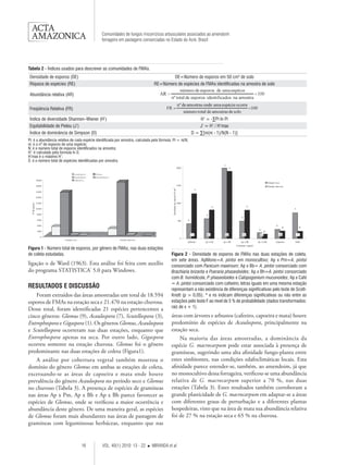 16 VOL. 40(1) 2010: 13 - 22  MIRANDA et al. 
Comunidades de fungos micorrízicos arbusculares associados ao amendoim 
forrageiro em pastagens consorciadas no Estado do Acre, Brasil 
ligação o de Ward (1963). Esta análise foi feita com auxílio 
do programa STATISTICA® 5.0 para Windows. 
RESULTADOS E DISCUSSÃO 
Foram extraídos das áreas amostradas um total de 18.594 
esporos de FMAs na estação seca e 21.470 na estação chuvosa. 
Desse total, foram identificadas 21 espécies pertencentes a 
cinco gêneros: Glomus (9), Acaulospora (7), Scutellospora (3), 
Entrophospora e Gigaspora (1). Os gêneros Glomus, Acaulospora 
e Scutellospora ocorreram nas duas estações, enquanto que 
Entrophospora apenas na seca. Por outro lado, Gigaspora 
ocorreu somente na estação chuvosa. Glomus foi o gênero 
predominante nas duas estações de coleta (Figura1). 
A análise por cobertura vegetal também mostrou o 
domínio do gênero Glomus em ambas as estações de coleta, 
excetuando-se as áreas de capoeira e mata onde houve 
prevalência do gênero Acaulospora no período seco e Glomus 
no chuvoso (Tabela 3). A presença de espécies de gramíneas 
nas áreas Ap x Pm, Ap x Bb e Ap x Bh parece favorecer as 
espécies de Glomus, onde se verificou a maior ocorrência e 
abundância deste gênero. De uma maneira geral, as espécies 
de Glomus foram mais abundantes nas áreas de pastagem de 
gramíneas com leguminosas herbáceas, enquanto que nas 
Figura 1 - Número total de esporos, por gênero de FMAs, nas duas estações 
de coleta estudadas. Figura 2 - Densidade de esporos de FMAs nas duas estações de coleta, 
em sete áreas. ApMono=A. pintoi em monocultivo; Ap x Pm=A. pintoi 
consorciado com Panicum maximum; Ap x Bb= A. pintoi consorciado com 
Brachiaria brizanta e Pueraria phaseoloides; Ap x Bh=A. pintoi consorciado 
com B. humidicola, P. phaseoloides e Calopogonium mucunoides; Ap x Café 
= A. pintoi consorciado com cafeeiro; letras iguais em uma mesma estação 
representam a não existência de diferenças significativas pelo teste de Scott- 
Knott (p > 0,05); * e ns indicam diferenças significativas ou não entre as 
estações pelo teste F ao nível de 5 % de probabilidade (dados transformados: 
raiz de x + 1). 
áreas com árvores e arbustos (cafeeiro, capoeira e mata) houve 
predomínio de espécies de Acaulospora, principalmente na 
estação seca. 
Na maioria das áreas amostradas, a dominância da 
espécie G. macrocarpum pode estar associada à presença de 
gramíneas, sugerindo uma alta afinidade fungo-planta entre 
estes simbiontes, nas condições edafoclimáticas locais. Esta 
afinidade parece estender-se, também, ao amendoim, já que 
no monocultivo dessa forrageira, verificou-se uma abundância 
relativa de G. macrocarpum superior a 70 %, nas duas 
estações (Tabela 3). Estes resultados também corroboram a 
grande plasticidade de G. macrocarpum em adaptar-se a áreas 
com diferentes graus de perturbação e a diferentes plantas 
hospedeiras, visto que na área de mata sua abundância relativa 
foi de 27 % na estação seca e 65 % na chuvosa. 
Densidade de esporos (DE) DE=Número de esporos em 50 cm3 de solo 
Riqueza de espécies (RE) RE=Número de espécies de FMAs identificadas na amostra de solo 
Abundância relativa (AR) 
Freqüência Relativa (FR) 
Índice de diversidade Shannon–Wiener (H’) H’ = -ΣPi ln Pi 
Equitabilidade de Pielou (J’) J’ = H’ / H’max 
Índice de dominância de Simpson (D) D = Σ[ni(ni - 1)/N(N - 1)] 
Tabela 2 - Índices usados para descrever as comunidades de FMAs. 
Pi: é a abundância relativa de cada espécie identificada por amostra, calculada pela fórmula: Pi = ni/N; 
ni: é o nº de esporos de uma espécie; 
N: é o número total de esporos identificados na amostra; 
H’: é calculado pela formula ln S; 
H’max é o máximo H’; 
S: é o número total de espécies identificadas por amostra. 
 