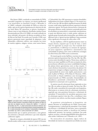 18 VOL. 40(1) 2010: 13 - 22  MIRANDA et al. 
Comunidades de fungos micorrízicos arbusculares associados ao amendoim 
forrageiro em pastagens consorciadas no Estado do Acre, Brasil 
Silva Júnior (2004), estudando as comunidades de FMAs 
associadas à pupunha e ao cupuaçu, em sistema agroflorestal 
e em monocultivo na Amazônia Central, e Bennedeti et 
al. (2005), avaliando a diversidade de FMAs na cultura do 
milho, após uso de espécies leguminosas de cobertura de solo 
em Santa Maria, RS reportaram os gêneros Acaulospora e 
Glomus como os mais freqüentes. Resultados similares foram 
documentados por Silva et al. (2006), em estudo realizado em 
áreas cultivadas, sob pousio e de floresta secundária na Serra 
do Mar em São Paulo. De acordo com Carrenho (1998), estes 
gêneros apresentam maior capacidade de adaptação a solos 
submetidos a diferentes cultivos, com variações nos teores 
de matéria orgânica, calagem, textura, entre outros fatores, 
x P. phaseoloides (Ap x Bb) apresentou as maiores densidades, 
independente da estação avaliada (Figura 2). Na estação seca, 
a DE na área Ap x Bb não diferiu significativamente da obtida 
na mata, sendo ambas significativamente superiores às demais 
coberturas vegetais. Na estação chuvosa houve a formação de 
dois grupos distintos, sendo o primeiro constituído pelas áreas 
de amendoim em monocultivo e consorciado com gramíneas, 
as quais não diferiram entre si, sendo, porém, superiores ao 
segundo grupo formado pelas testemunhas, que também não 
diferiram entre si. Apenas nas áreas ApMono e mata ocorreram 
efeito significativo da estação de coleta sobre a DE. 
Na área ApMono, a DE foi significativamente maior na 
estação chuvosa, enquanto que na área de mata, o maior 
valor foi registrado na estação seca. Esse resultado deve-se, 
possivelmente, às diferenças na estrutura da vegetação, 
aos picos vegetativos, reprodutivos e fotossintéticos das 
comunidades de plantas, bem como as diferentes estratégias 
de sobrevivência dos FMAs nestes ecossistemas. 
De maneira geral, na área ApMono e nas áreas em que estão 
presentes espécies de gramíneas (Ap x Pm, Ap x Bb e Ap x Bh), 
ocorreu maior densidade de esporos. Nestas áreas, também se 
observa um maior equilíbrio na DE entre as estações de coleta, 
provavelmente refletindo uma menor variabilidade fisiológica 
das plantas destes agrossistemas entre as duas estações. A 
maior eficiência fotossintética (característica das plantas C4) 
proporciona vantagens ecológicas às gramíneas, dando a elas 
a oportunidade de crescer mais rápido, praticamente o ano 
todo (Ludlow & Wilson, 1970; Fisher & Thornton, 1989), 
favorecendo as relações simbióticas com microrganismos, 
proporcionando aos FMAs associados, fotoassimilados em 
abundância e permitindo a dominância dos FMAs mais 
compatíveis na associação com as gramíneas. 
As maiores taxas de colonização foram registradas na área 
Ap x Bh, em ambas as épocas de estudo. Nas áreas Ap x Bb e 
Ap x Bh, onde o amendoim foi consorciado com braquiárias, 
observaram-se os maiores níveis de colonização micorrízica, 
sugerindo que estas gramíneas favorecem a colonização do 
amendoim. O monocultivo do amendoim apresentou taxas 
de colonização superior à área Ap x Pm, e semelhante à área 
de consórcio com cafeeiro, nas duas estações avaliadas (Figura 
3). 
As gramíneas, principalmente as braquiárias, são 
plantas eficientes na multiplicação de FMAs, favorecendo, 
conseqüentemente, a colonização do amendoim. Caso o fungo 
seja eficiente e a fertilidade do solo baixa, tanto as gramíneas 
como as leguminosas podem se beneficiar da simbiose 
melhorando, portanto, sua nutrição e produção. Isso pode 
explicar, em parte, a elevada adaptabilidade destas plantas aos 
solos ácidos e deficientes em P (Howeler et al., 1987). 
No monocultivo de amendoim, alguns índices de 
diversidade são maiores ou comparáveis aos obtidos nas outras 
Figura 4 - (em arquivo anexo). Análise de agrupamento (distância euclidiana, 
método de Ward) baseado na abundância relativa das espécies de FMAs em 
cada sítio nas estações seca (A) e chuvosa (B). ApMono = A. pintoi em 
monocultivo; Ap x Pm = A. pintoi consorciado com Panicum maximum; Ap x 
Bb=A. pintoi consorciado com Brachiaria brizanta e Pueraria phaseoloides; Ap x 
Bh=A. pintoi consorciado com B. humidicola, P. phaseoloides e Calopogonium 
mucunoides; Ap x Café=A. pintoi consorciado com cafeeiro. 
demonstrando que as espécies pertencentes a estes gêneros 
são resistentes a alterações ambientais e que estão adaptadas 
a diferentes regiões. 
Quando se compara a densidade de esporos (DE) nas sete 
áreas de estudo, verifica-se que o consórcio A. pintoi x B. brizanta 
 