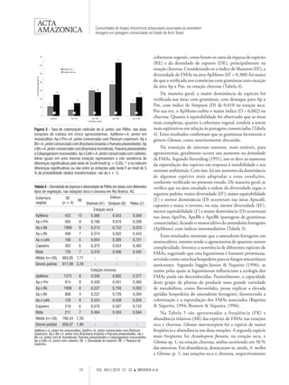 19 VOL. 40(1) 2010: 13 - 22  MIRANDA et al. 
Comunidades de fungos micorrízicos arbusculares associados ao amendoim 
forrageiro em pastagens consorciadas no Estado do Acre, Brasil 
coberturas vegetais, como foram os casos da riqueza de espécies 
(RE) e da densidade de esporos (DE), principalmente na 
estação chuvosa. Considerando-se o índice de Shannon (H’), a 
diversidade de FMAs na área ApMono (H’ = 0,388) foi maior 
do que a verificada nos consórcios com gramíneas com exceção 
da área Ap x Pm, na estação chuvosa (Tabela 4). 
De maneira geral, a maior dominância de espécies foi 
verificada nas áreas com gramíneas, com destaque para Ap x 
Pm, com índice de Simpson (D) de 0,810 na estação seca. 
Por sua vez, o ApMono exibiu o maior índice (D = 0,602) na 
chuvosa. Quanto à equitabilidade foi observado que as áreas 
mais complexas, quanto à cobertura vegetal, tendem a serem 
mais eqüitativos em relação às pastagens consorciadas (Tabela 
4). Estes resultados confirmam que as gramíneas favorecem o 
gênero Glomus, como anteriormente discutido. 
Na transição de sistemas naturais, mais estáveis, para 
agrossistemas, geralmente ocorre um aumento na densidade 
de FMAs. Segundo Sieverding (1991), isso se deve ao aumento 
da esporulação das espécies em resposta à instabilidade e aos 
estresses ambientais. Com isto, há um aumento da dominância 
de algumas espécies mais adaptadas a estas condições, 
conforme verificado no presente estudo. De maneira geral, se 
verifica que na área estudada a ordem da diversidade segue o 
seguinte padrão: maior diversidade (H’), maior equitabilidade 
(J’) e menor dominância (D) ocorreram nas áreas Apxcafé, 
capoeira e mata; o inverso, ou seja, menor diversidade (H’), 
menor equitabilidade (J’) e maior dominância (D) ocorreram 
nas áreas ApxPm, ApxBb e ApxBh (pastagens de gramíneas 
consorciadas), ficando o monocultivo do amendoim forrageiro 
(ApMono) com índices intermediários (Tabela 3). 
Estes resultados mostram que o amendoim forrageiro em 
monocultivo, mesmo sendo o agrossistema de aparente menor 
complexidade, favorece a ocorrência de diferentes espécies de 
FMAs, sugerindo que esta leguminosa é bastante promíscua, 
servindo como uma boa hospedeira para os fungos micorrízicos 
autóctones. Segundo Saggin-Júnior & Siqueira (1996), as 
razões pelas quais as leguminosas influenciam a ecologia dos 
FMAs ainda são desconhecidas. Possivelmente, a capacidade 
deste grupo de plantas de produzir uma grande variedade 
de metabólitos, como flavonóides, possa explicar a elevada 
aptidão hospedeira do amendoim forrageiro, favorecendo a 
colonização e a esporulação dos FMAs associados (Baptista 
& Siqueira, 1994; Romero & Siqueira, 1996). 
Na Tabela 5 são apresentadas a freqüência (FR) e 
abundância relativas (AR) das espécies de FMAs nas estações 
seca e chuvosa. Glomus macrocarpum foi a espécie de maior 
freqüência e abundância nas duas estações. A segunda espécie 
mais freqüente foi Acaulospora foveata, na estação seca, e 
Glomus sp. 1, na estação chuvosa, ambas ocorrendo em 50 % 
das amostras. Em abundância, destacaram-se, ainda, A. mellea 
e Glomus sp. 1, nas estações seca e chuvosa, respectivamente 
Figura 3 - Taxa de colonização radicular do A. pintoi, por FMAs, nas duas 
estações de coletas em cinco agrossistemas. ApMono=A. pintoi em 
monocultivo; Ap x Pm=A. pintoi consorciado com Panicum maximum; Ap x 
Bb=A. pintoi consorciado com Brachiaria brizanta e Pueraria phaseoloides; Ap 
x Bh=A. pintoi consorciado com Brachiaria humidicola, Pueraria phaseoloides 
e Calopogonium mucunoides; Ap x Café=A. pintoi consorciado com cafeeiro; 
letras iguais em uma mesma estação representam a não existência de 
diferenças significativas pelo teste de Scott-Knott (p > 0,05); * e ns indicam 
diferenças significativas ou não entre as estações pelo teste F ao nível de 5 
% de probabilidade (dados transformados: raiz de x + 1). 
Cobertura 
vegetal 
DE 
(n = 4) 
RE 
Índices 
Shannon (H’) Simpson (D) Pielou (J’) 
Estação seca 
ApMono 422 12 0,388 0,553 0,359 
Ap x Pm 565 8 0,186 0,810 0,206 
Ap x Bb 1999 9 0,213 0,752 0,223 
Ap x Bh 496 7 0,374 0,502 0,443 
Ap x café 168 5 0,504 0,385 0,721 
Capoeira 262 6 0,375 0,554 0,482 
Mata 735 7 0,376 0,506 0,445 
Média (n=28) 663,85 7,71 - - - 
Desvio padrão 617,99 2,29 - - - 
Estação chuvosa 
ApMono 1275 9 0,359 0,602 0,377 
Ap x Pm 814 8 0,420 0,451 0,465 
Ap x Bb 1909 8 0,237 0,750 0,262 
Ap x Bh 808 4 0,237 0,726 0,394 
Ap x café 129 9 0,524 0,438 0,550 
Capoeira 219 6 0,578 0,307 0,742 
Mata 211 7 0,494 0,455 0,584 
Média (n=28) 766,43 7,29 - - - 
Desvio padrão 656,07 1,80 - - - 
Tabela 4 – Densidade de esporos e diversidade de FMAs em áreas com diferentes 
tipos de vegetação, nas estações seca e chuvosa em Rio Branco, AC. 
ApMono=A. pintoi em monocultivo; ApxPm=A. pintoi consorciado com Panicum 
maximum; Ap x Bb=A. pintoi com Brachiaria brizanta e Pueraria phaseoloides; Ap x 
Bh=A. pintoi com B. humidicola, Pueraria phaseoloides e Calopogonium mucunoides; 
Ap x Café=A. pintoi com cafeeiro. DE = Densidade de esporos; RE = Riqueza de 
espécies. 
 