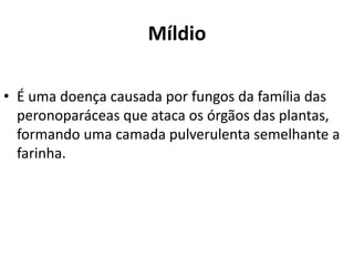Míldio
• É uma doença causada por fungos da família das
peronoparáceas que ataca os órgãos das plantas,
formando uma camada pulverulenta semelhante a
farinha.
 