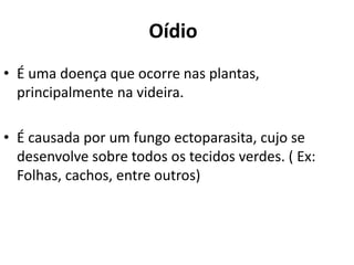 Oídio
• É uma doença que ocorre nas plantas,
principalmente na videira.
• É causada por um fungo ectoparasita, cujo se
desenvolve sobre todos os tecidos verdes. ( Ex:
Folhas, cachos, entre outros)
 