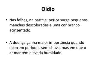 Oídio
• Nas folhas, na parte superior surge pequenas
manchas descoloradas e uma cor branco
acinzentado.
• A doença ganha maior importância quando
ocorrem períodos sem chuva, mas em que o
ar mantém elevada humidade.
 