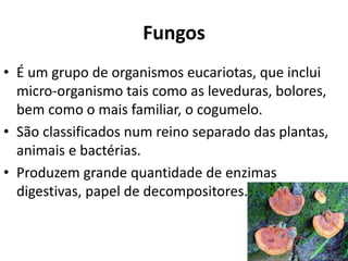 Fungos
• É um grupo de organismos eucariotas, que inclui
micro-organismo tais como as leveduras, bolores,
bem como o mais familiar, o cogumelo.
• São classificados num reino separado das plantas,
animais e bactérias.
• Produzem grande quantidade de enzimas
digestivas, papel de decompositores.
 