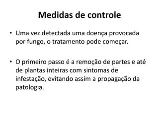 Medidas de controle
• Uma vez detectada uma doença provocada
por fungo, o tratamento pode começar.
• O primeiro passo é a remoção de partes e até
de plantas inteiras com sintomas de
infestação, evitando assim a propagação da
patologia.
 