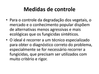 Medidas de controle
• Para o controle da degradação dos vegetais, o
mercado e o conhecimento popular dispõem
de alternativas menos agressivas e mais
ecológicas que os fungicidas sintéticos.
• O ideal é recorrer a um técnico especializado
para obter o diagnóstico correto do problema,
especialmente se for necessário recorrer a
fungicidas, que precisam ser utilizados com
muito critério e rigor.
 