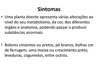 Sintomas
• Uma planta doente apresenta várias alterações ao
nível do seu metabolismo, da cor, dos diferentes
órgãos e anatomia, podendo passar a produzir
substâncias anormais.
• Bolores cinzentos ou pretos, pó branco, bolhas cor
de ferrugem, uma massa ou crescimento preto,
leveduras, cogumelos, entre outros.
 